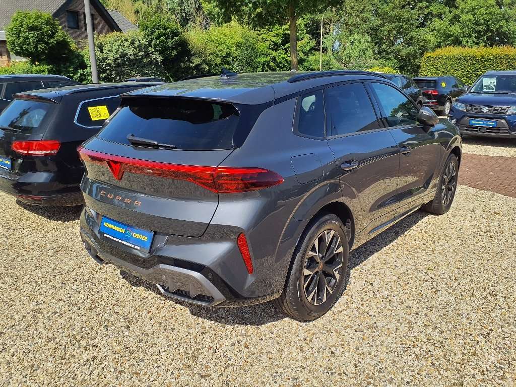 Fahrzeugbild eines CUPRA Terramar