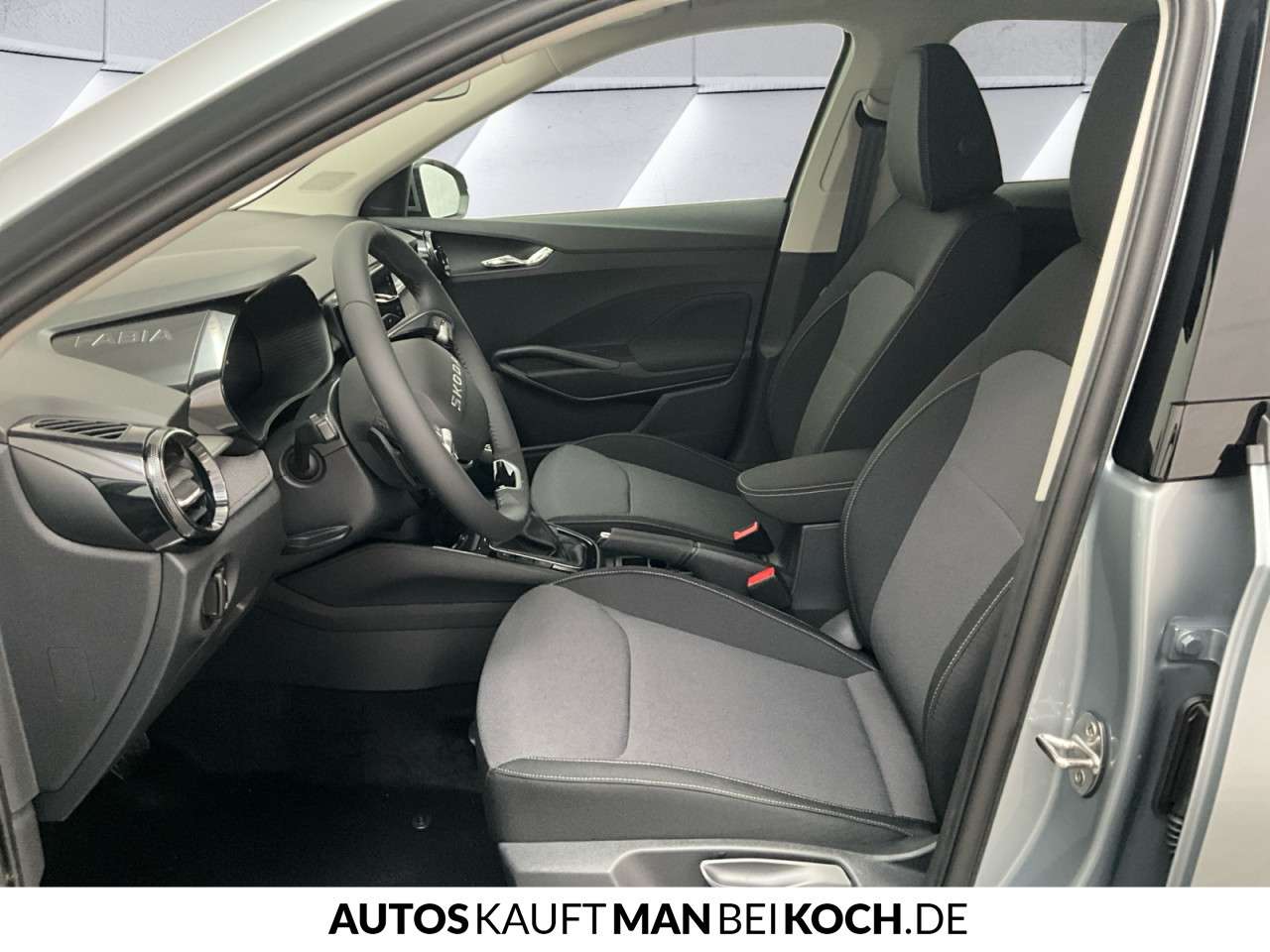 Fahrzeugbild eines Skoda Fabia