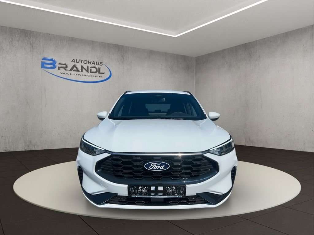 Fahrzeugbild eines Ford Kuga