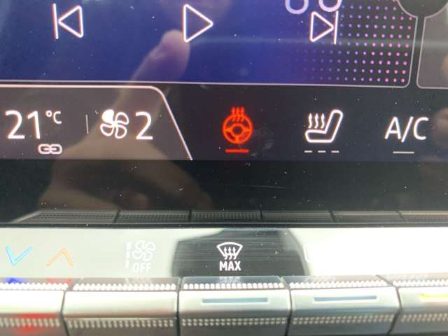 Fahrzeugbild eines Renault Austral