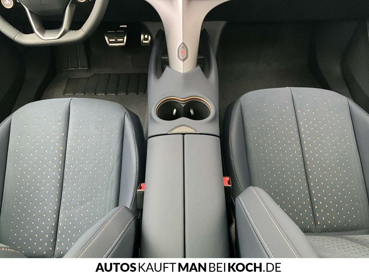 Fahrzeugbild eines CUPRA Tavascan