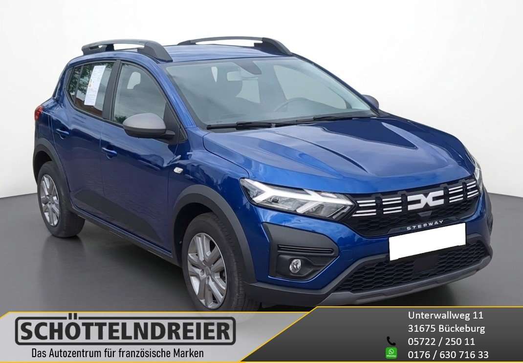 Fahrzeugbild eines Dacia Sandero