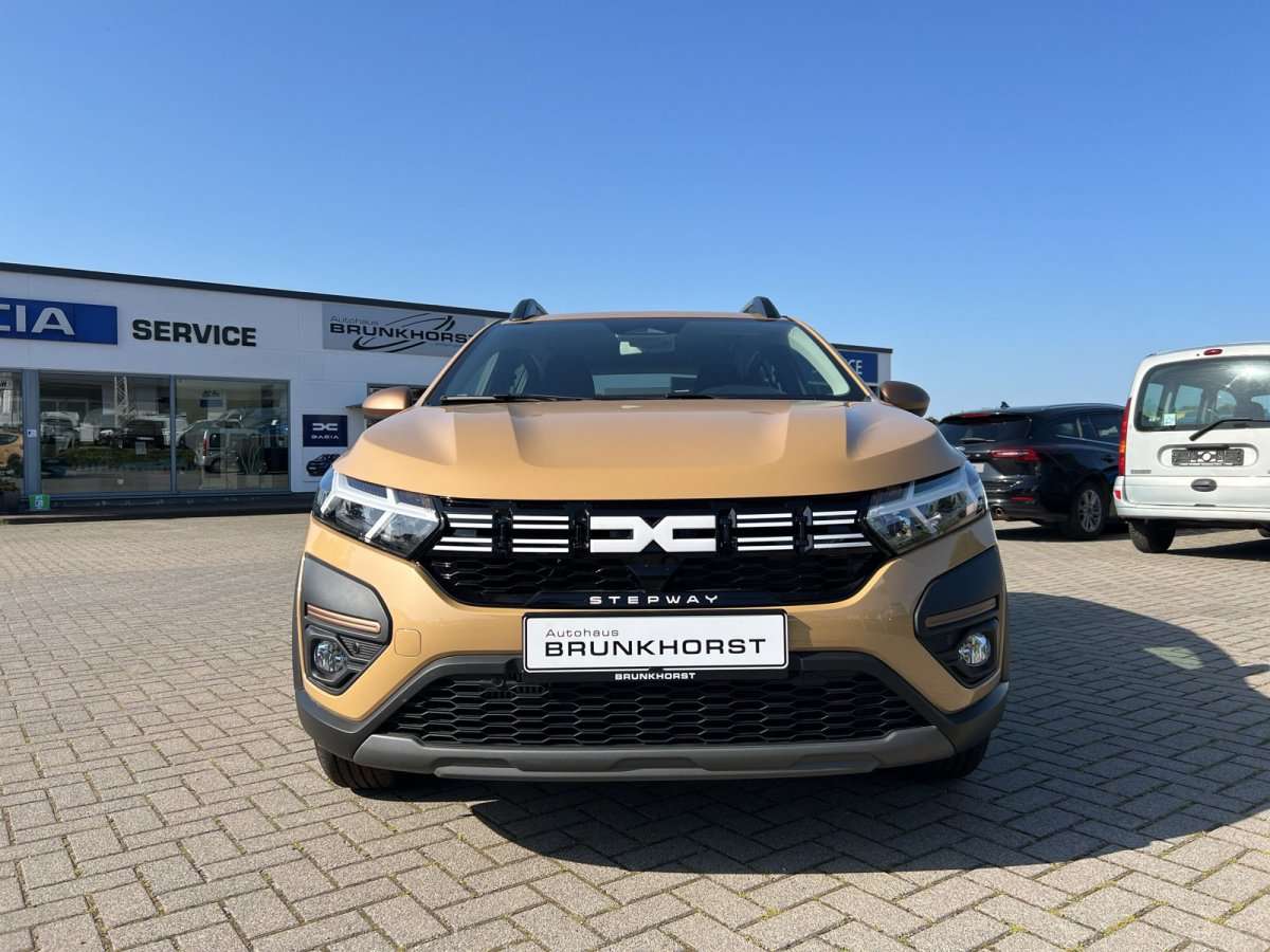 Fahrzeugbild eines Dacia Sandero