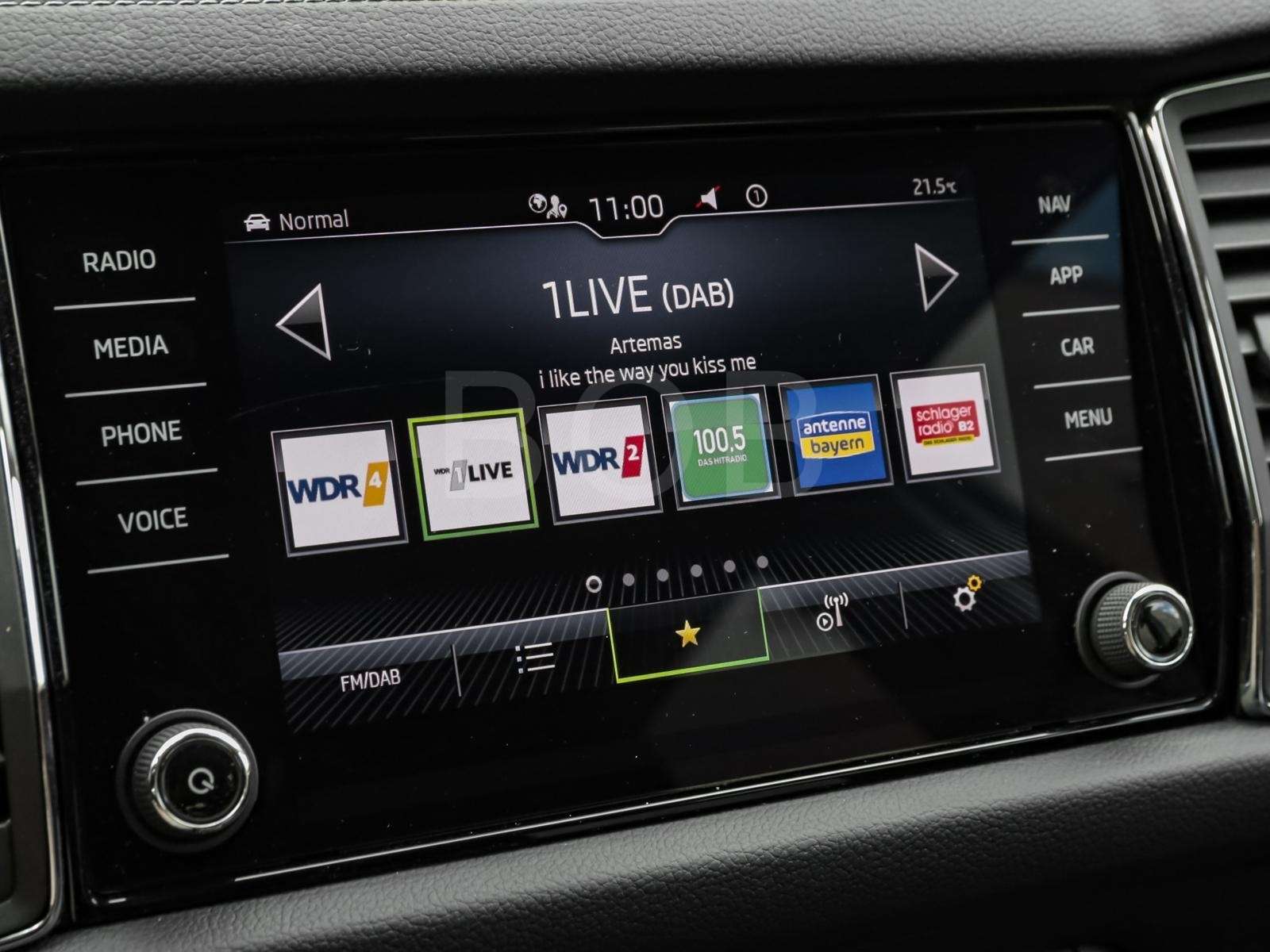 Fahrzeugbild eines Skoda Kodiaq