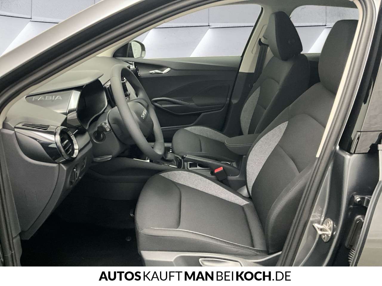 Fahrzeugbild eines Skoda Fabia