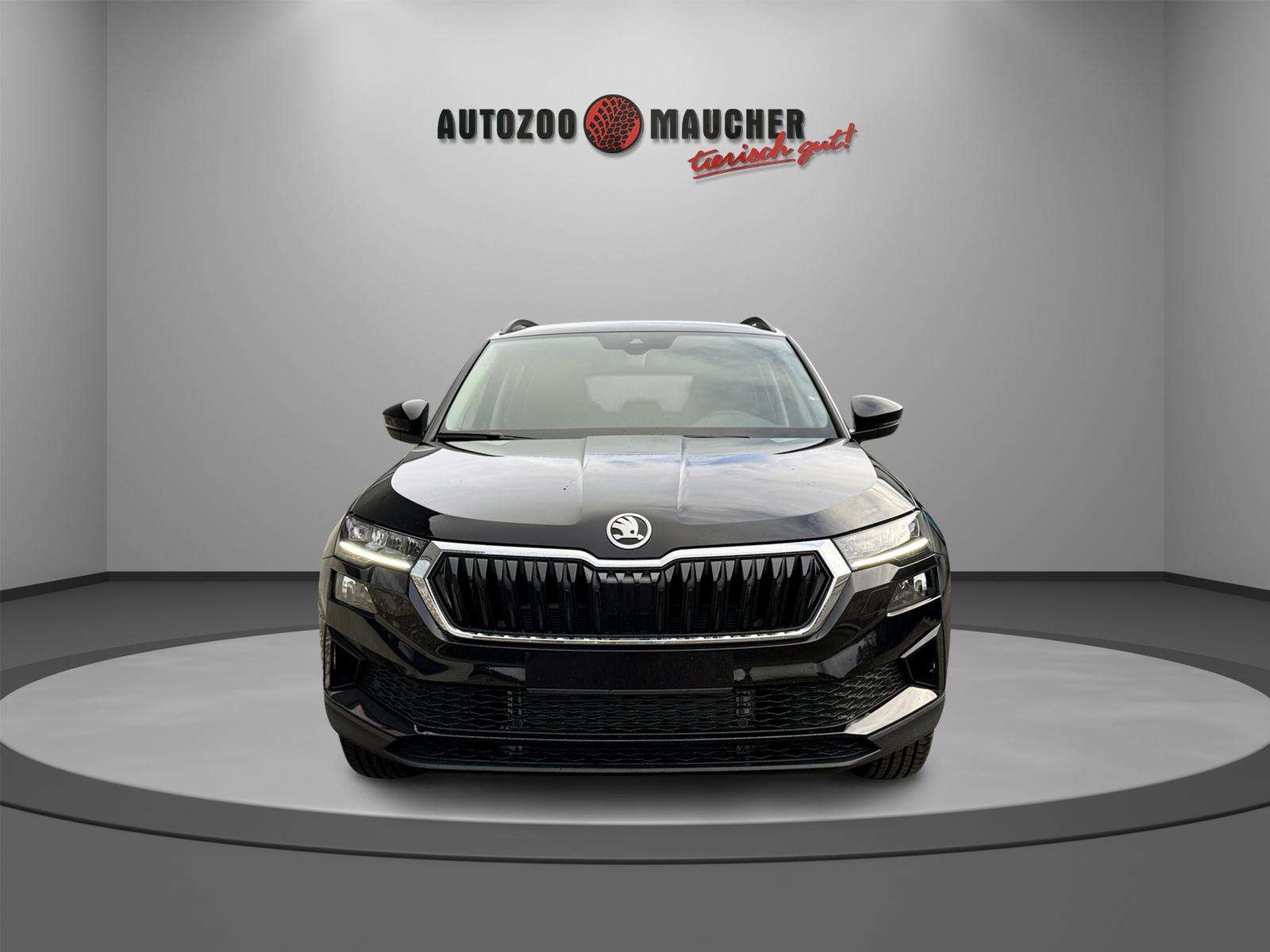 Fahrzeugbild eines Skoda Karoq