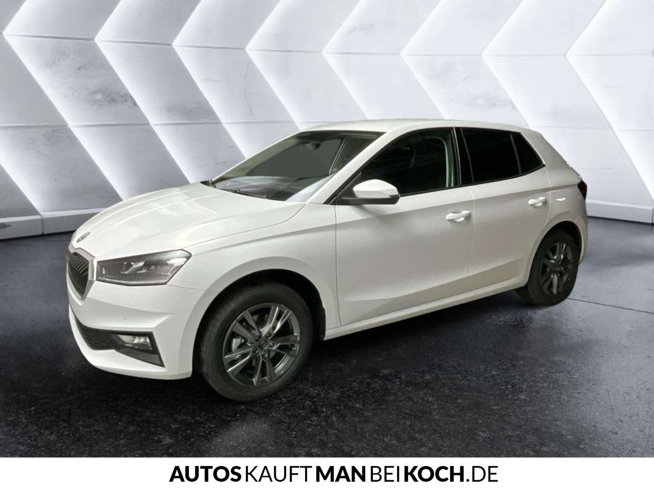 Fahrzeugbild eines Skoda Fabia