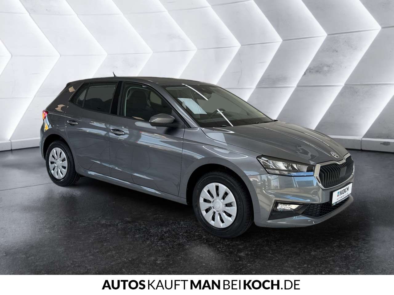 Fahrzeugbild eines Skoda Fabia