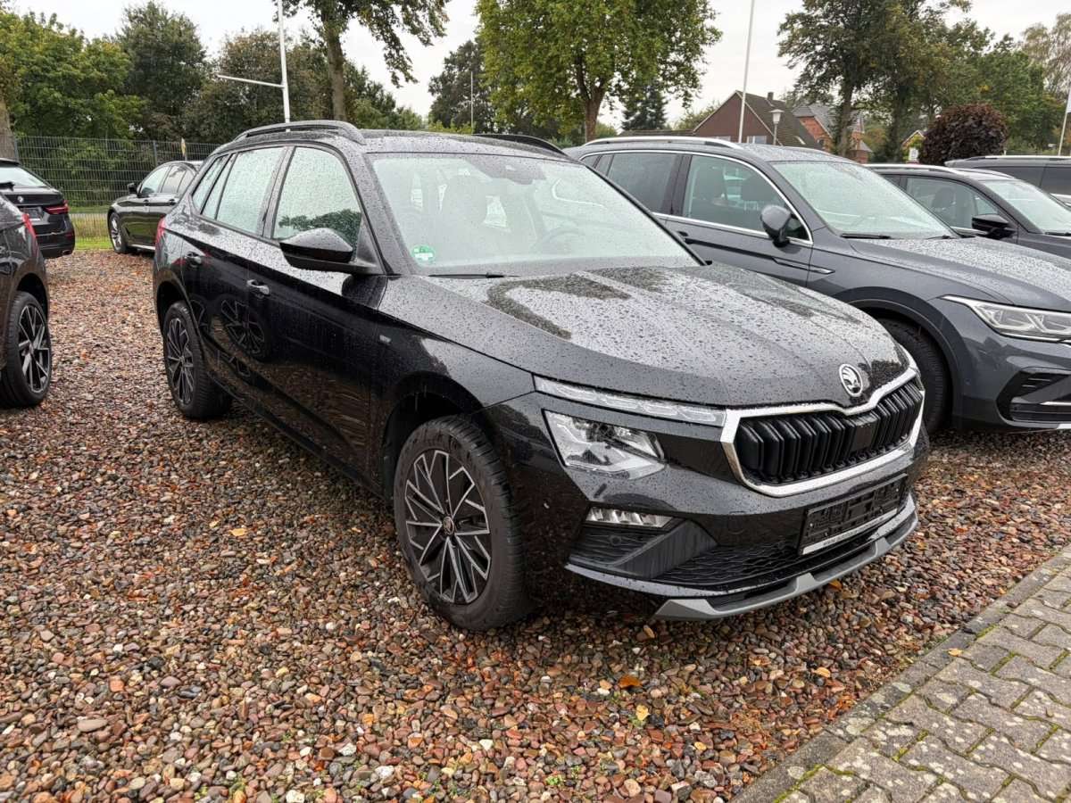 Fahrzeugbild eines Skoda Kamiq