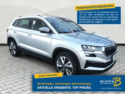 Bild Skoda Karoq