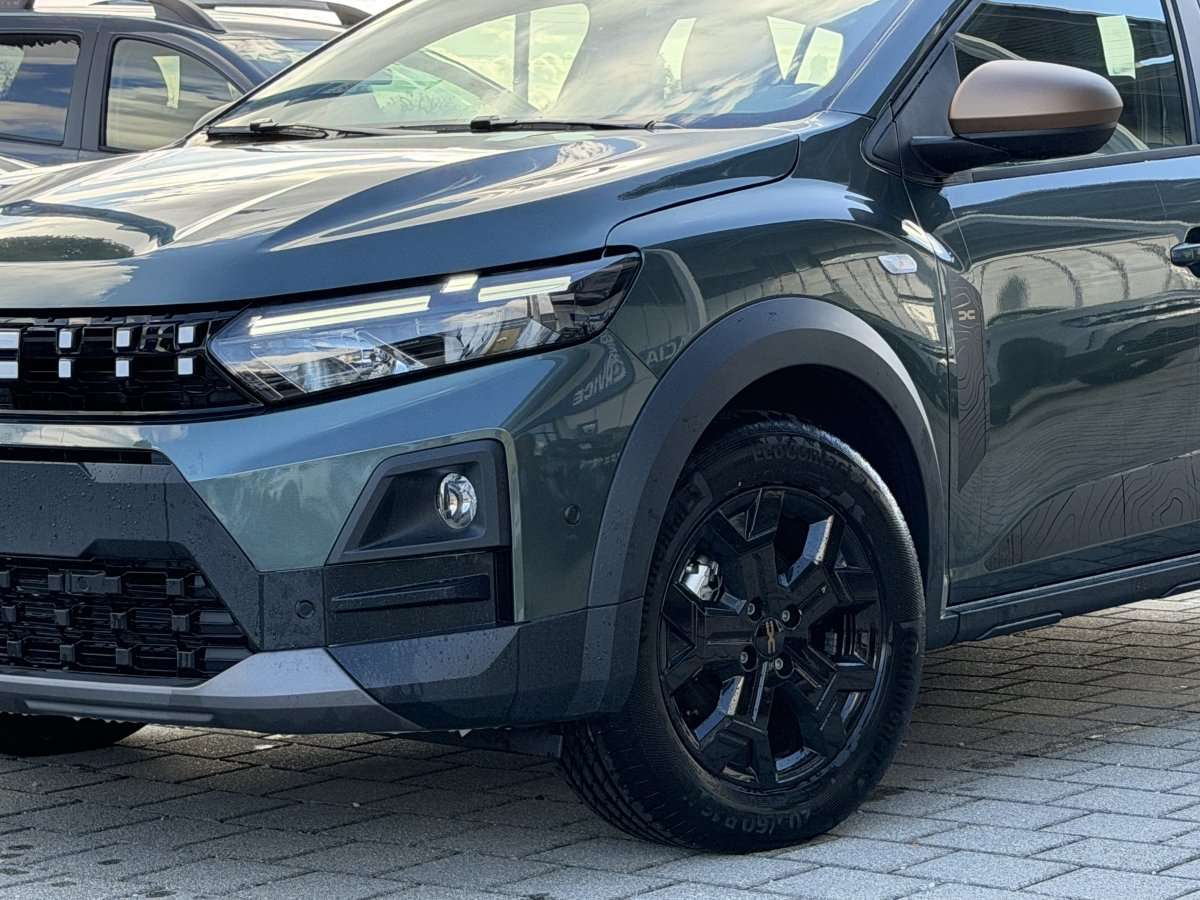 Fahrzeugbild eines Dacia Sandero