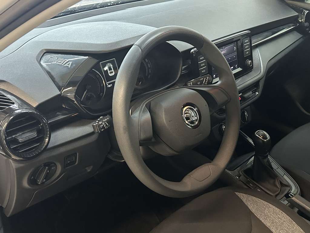 Fahrzeugbild eines Skoda Fabia