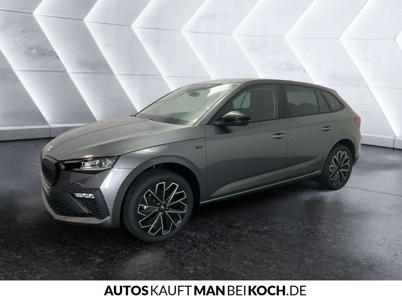 Fahrzeugbild eines Skoda Scala