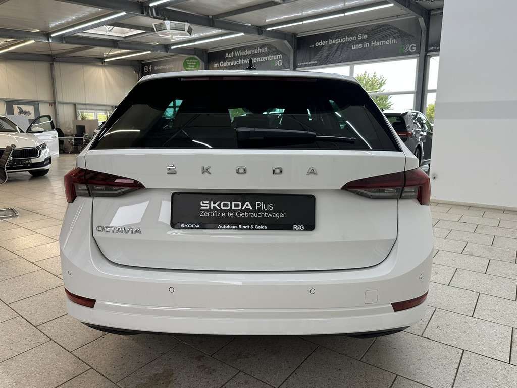 Fahrzeugbild eines Skoda Octavia