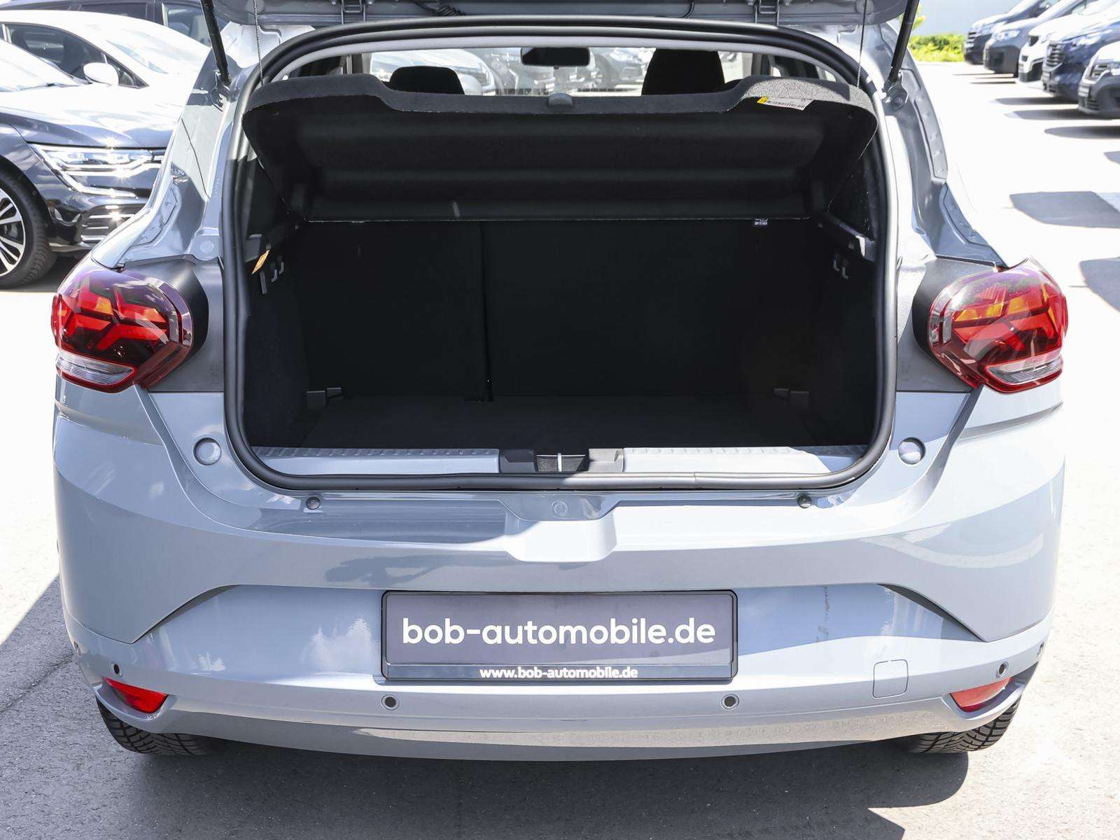 Fahrzeugbild eines Dacia Sandero