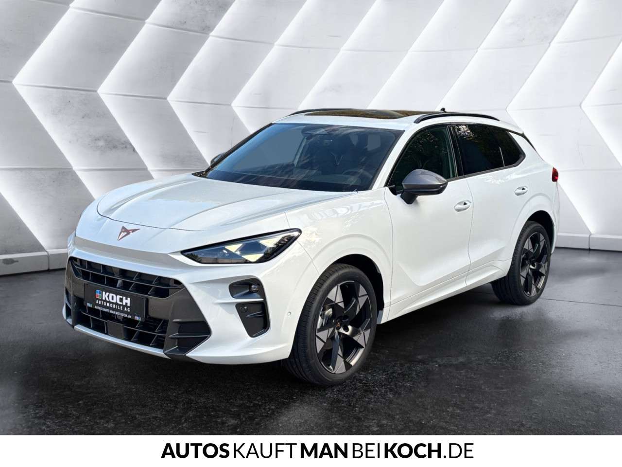 Fahrzeugbild eines CUPRA Terramar