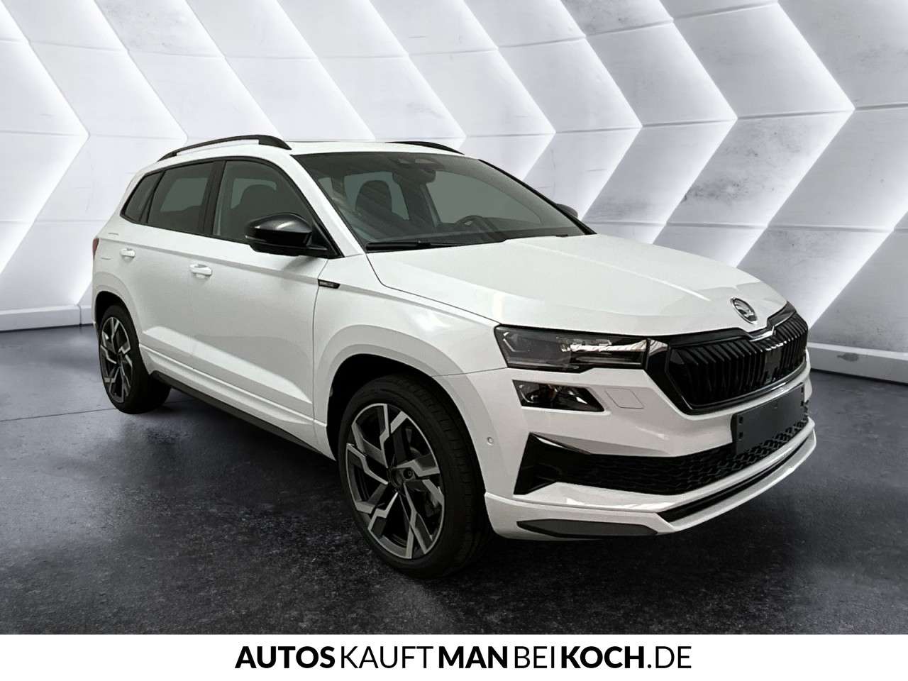 Fahrzeugbild eines Skoda Karoq