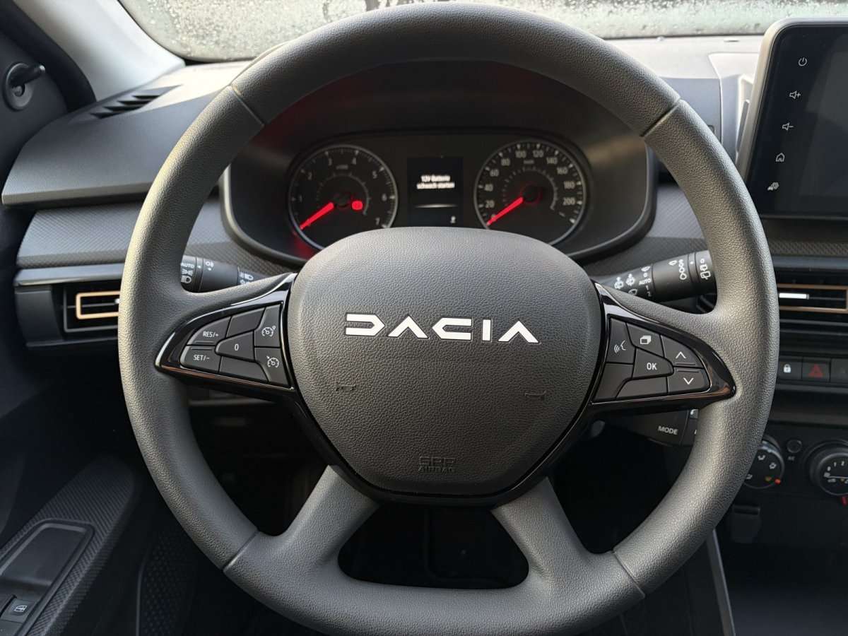 Fahrzeugbild eines Dacia Sandero