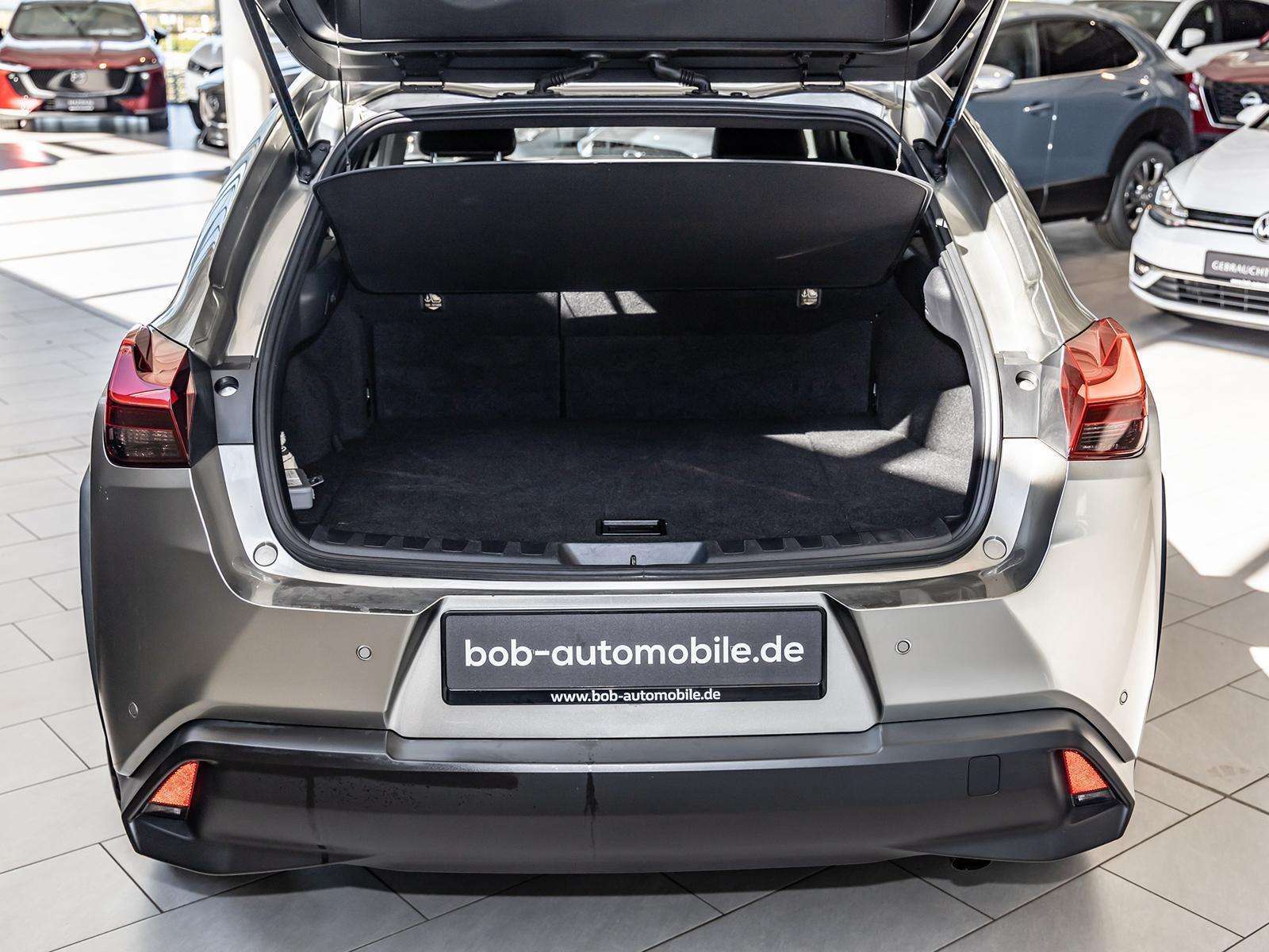 Fahrzeugbild eines Lexus UX