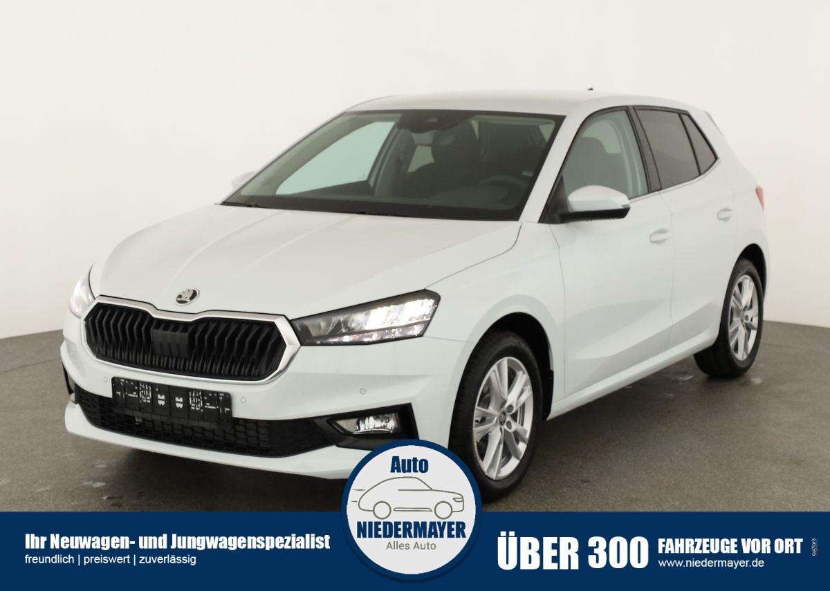 Fahrzeugbild eines Skoda Fabia