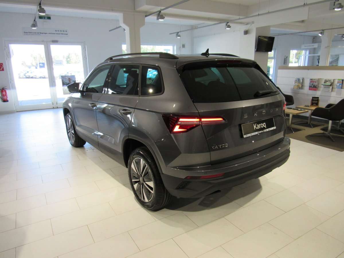 Fahrzeugbild eines Skoda Karoq