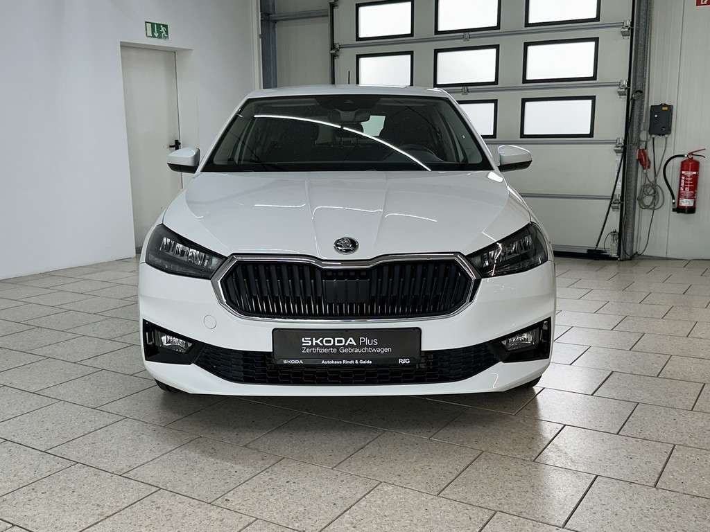 Fahrzeugbild eines Skoda Fabia