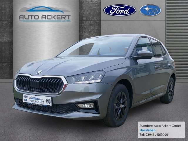 Fahrzeugbild eines Skoda Fabia