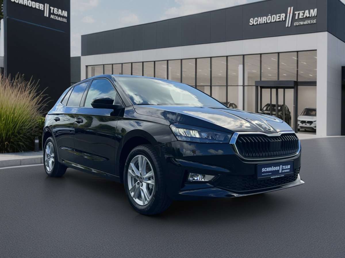 Fahrzeugbild eines Skoda Fabia
