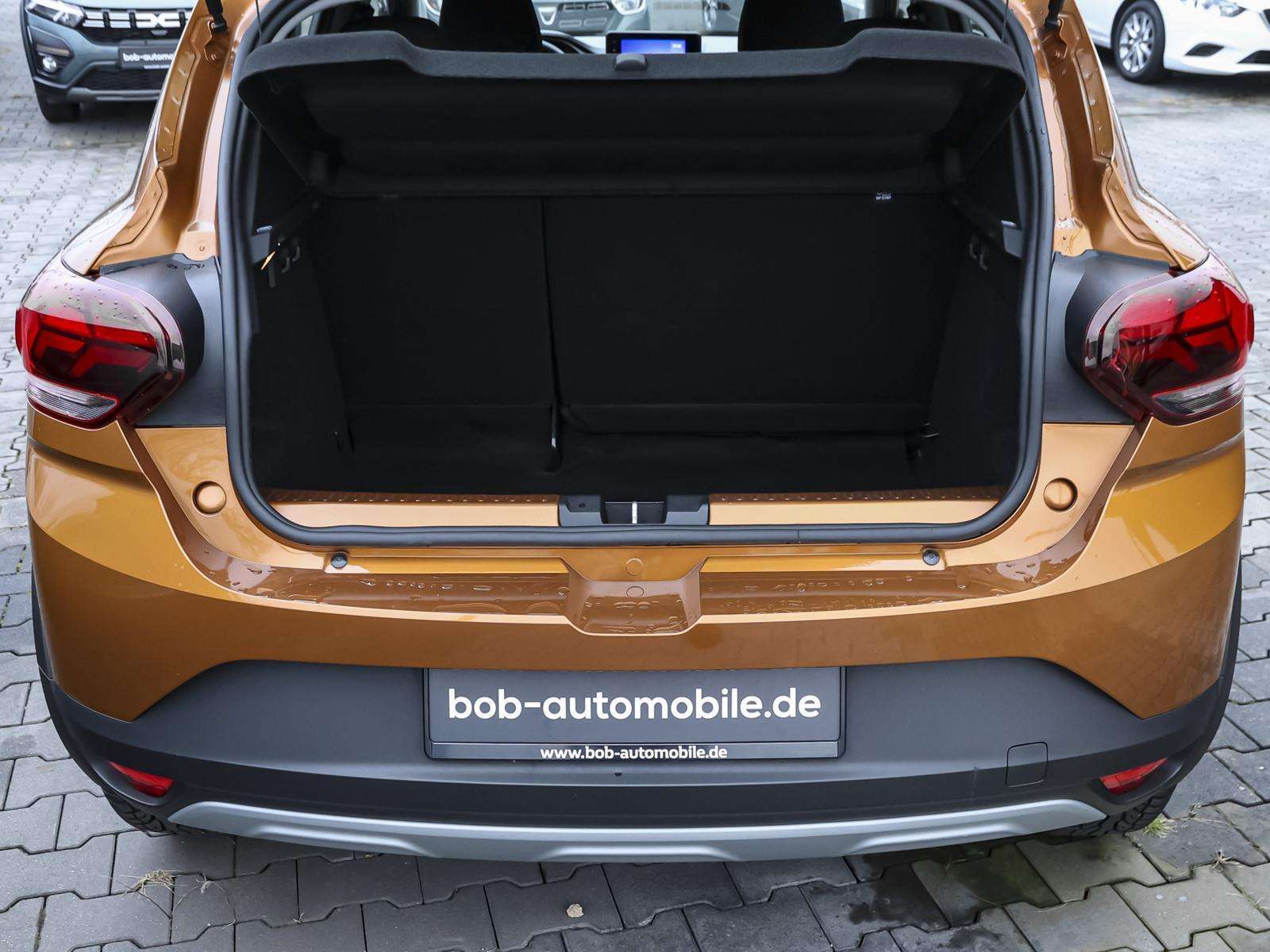 Fahrzeugbild eines Dacia Sandero