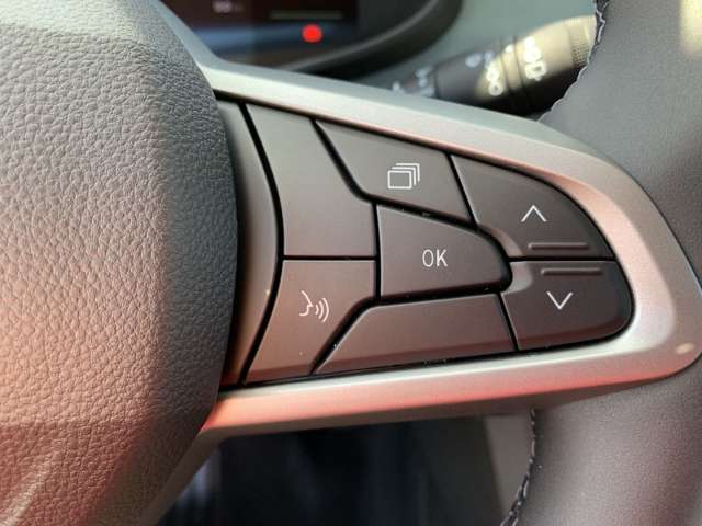 Fahrzeugbild eines Dacia Sandero