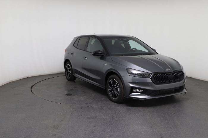 Fahrzeugbild eines Skoda Fabia