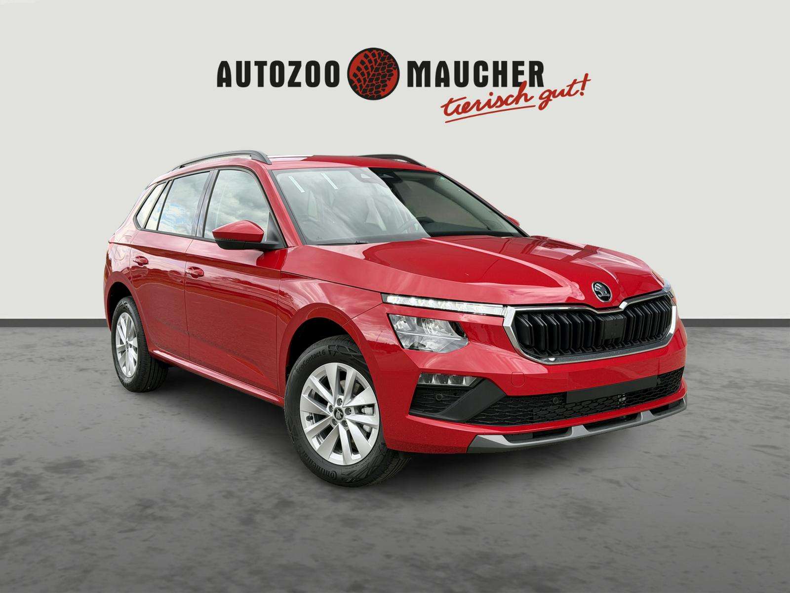 Fahrzeugbild eines Skoda Kamiq