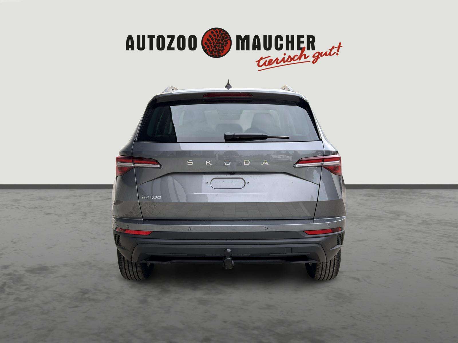 Fahrzeugbild eines Skoda Karoq