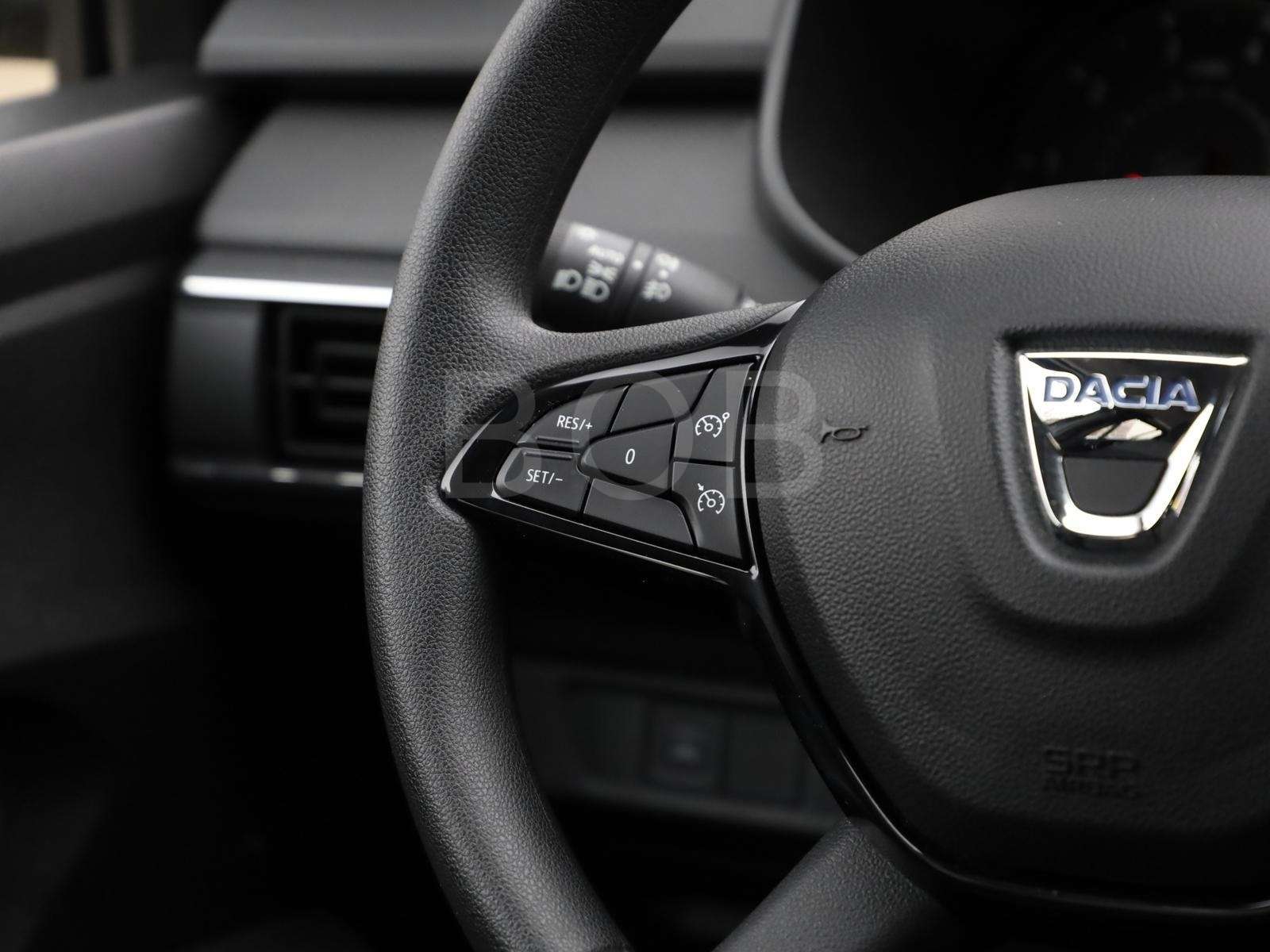 Fahrzeugbild eines Dacia Sandero