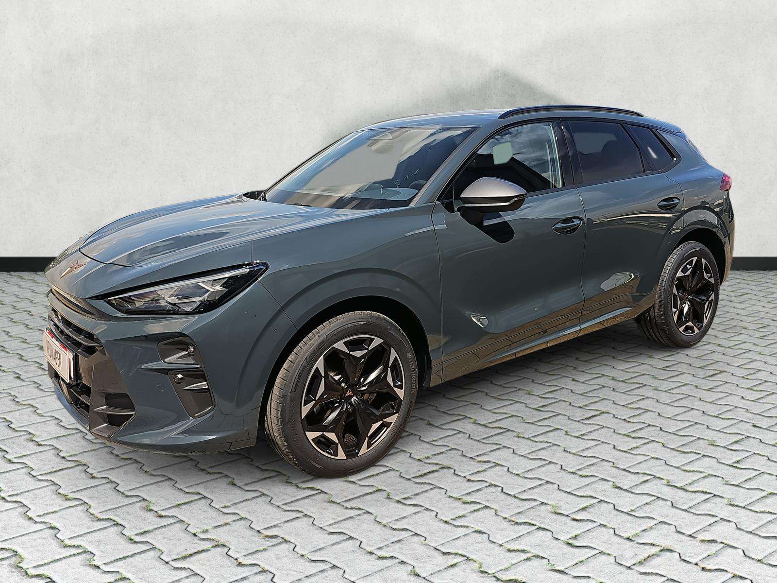 Fahrzeugbild eines CUPRA Terramar