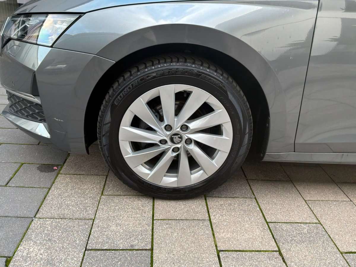 Fahrzeugbild eines Skoda Octavia