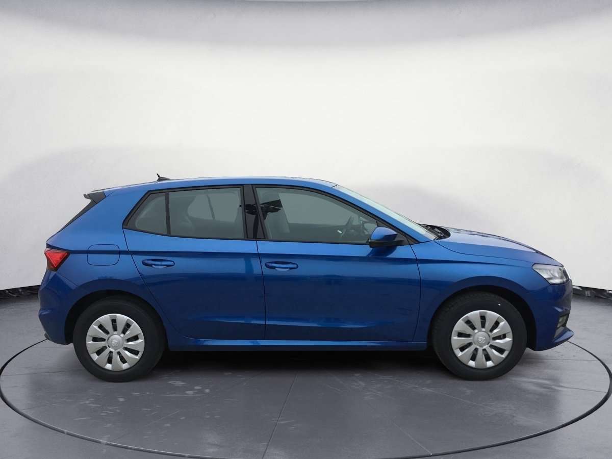 Fahrzeugbild eines Skoda Fabia
