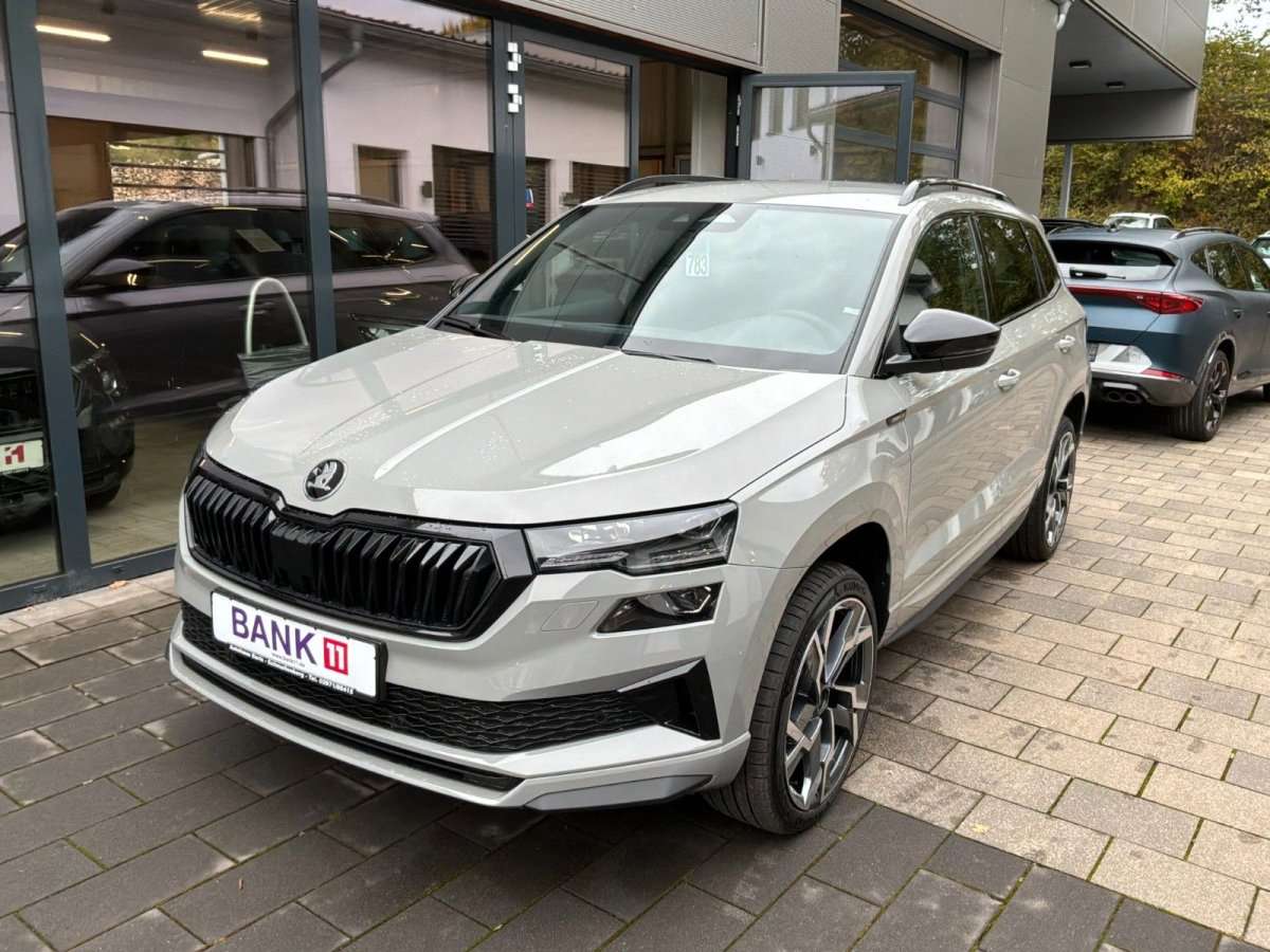 Fahrzeugbild eines Skoda Karoq
