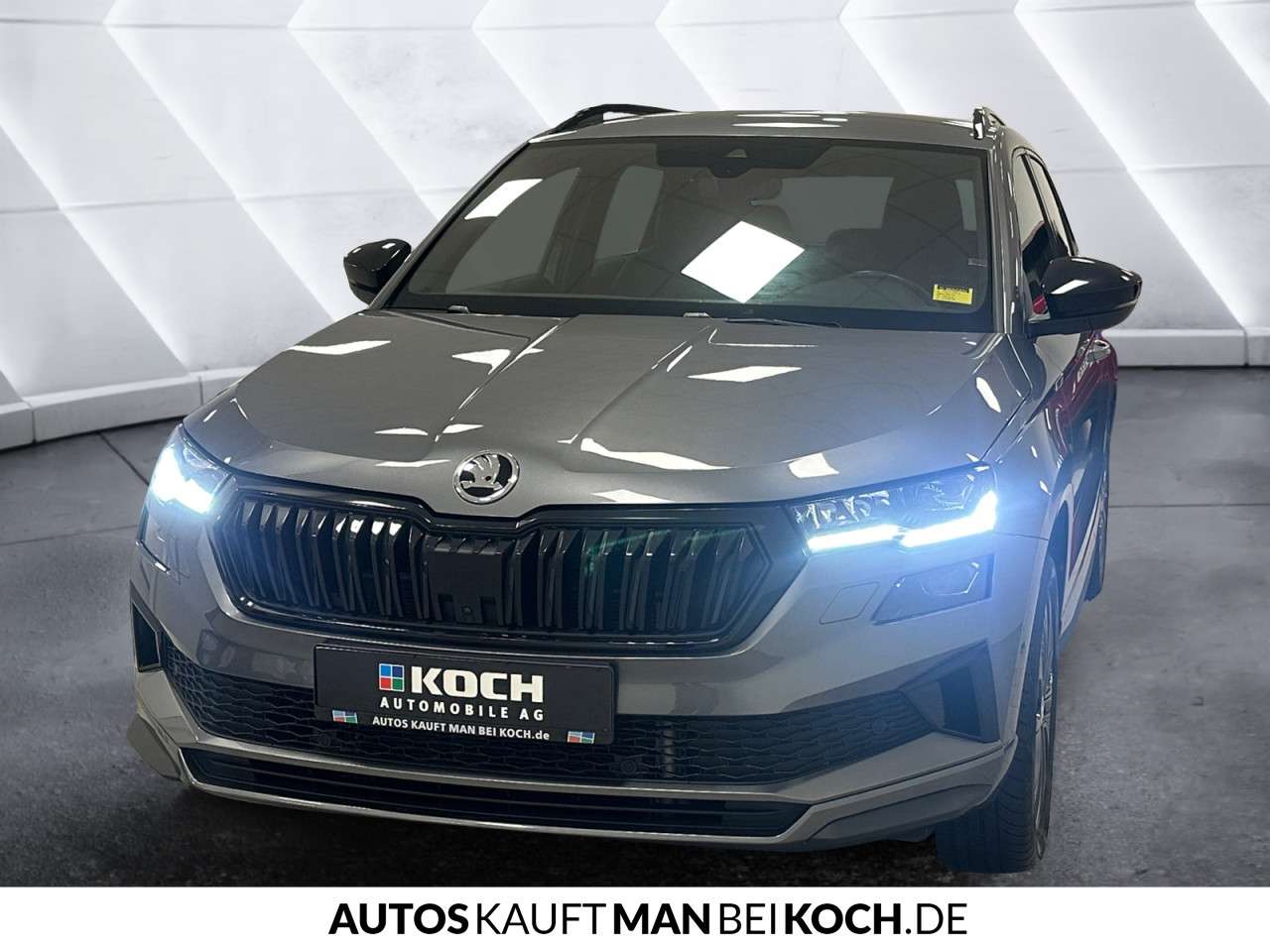 Fahrzeugbild eines Skoda Karoq