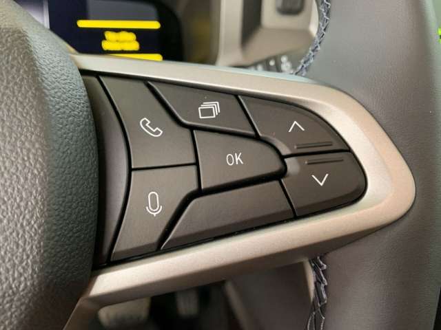 Fahrzeugbild eines Dacia Bigster