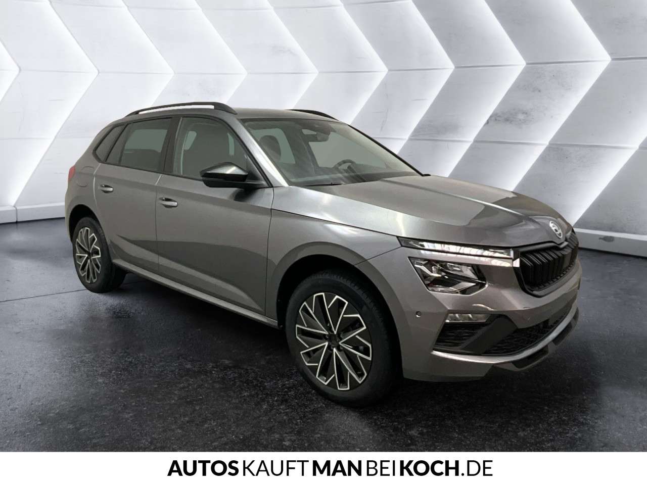 Fahrzeugbild eines Skoda Kamiq