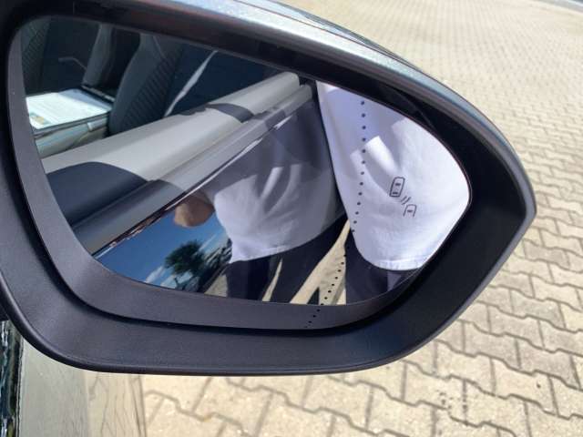 Fahrzeugbild eines Renault Rafale