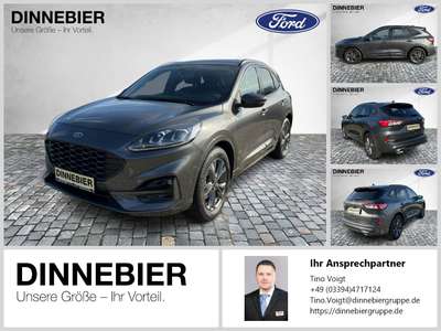 Bild Ford Kuga