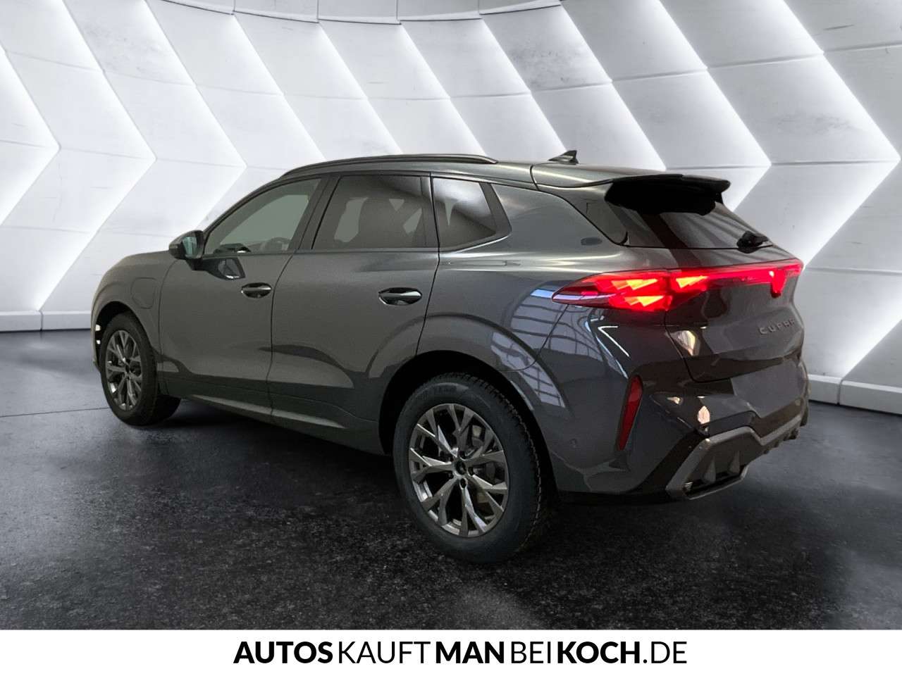 Fahrzeugbild eines CUPRA Terramar