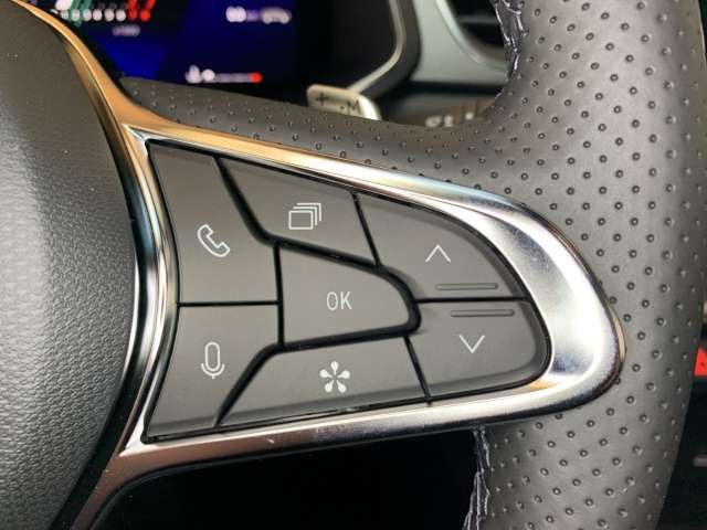 Fahrzeugbild eines Renault Symbioz