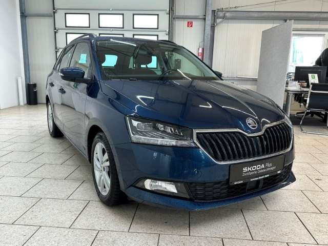 Fahrzeugbild eines Skoda Fabia
