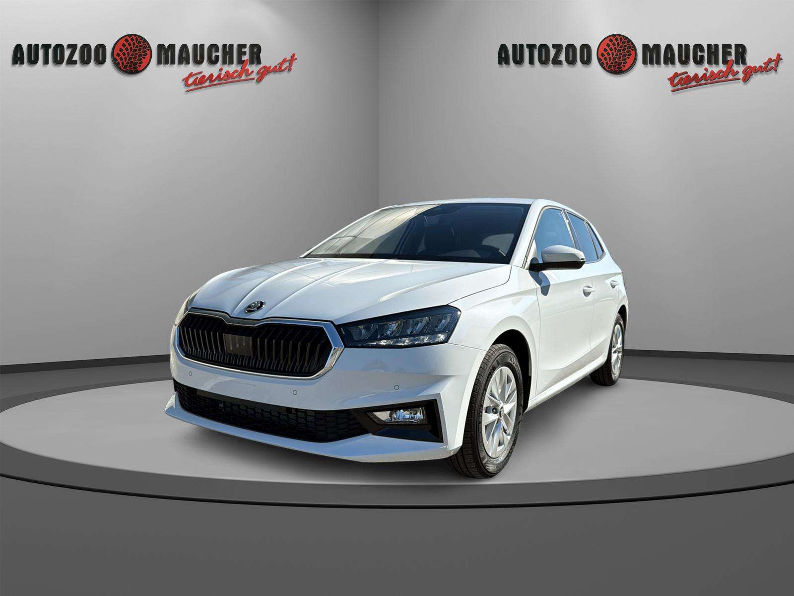 Fahrzeugbild eines Skoda Fabia