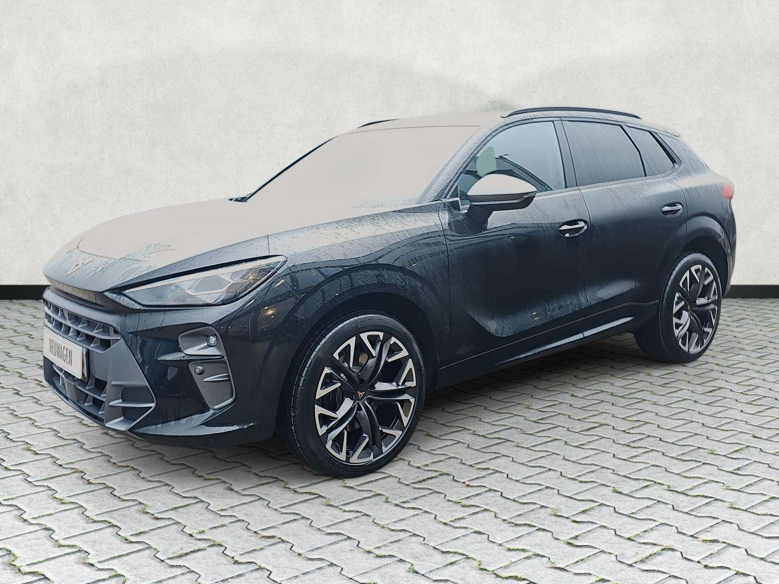 Fahrzeugbild eines CUPRA Terramar