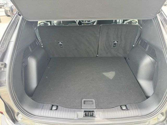 Fahrzeugbild eines Ford Kuga