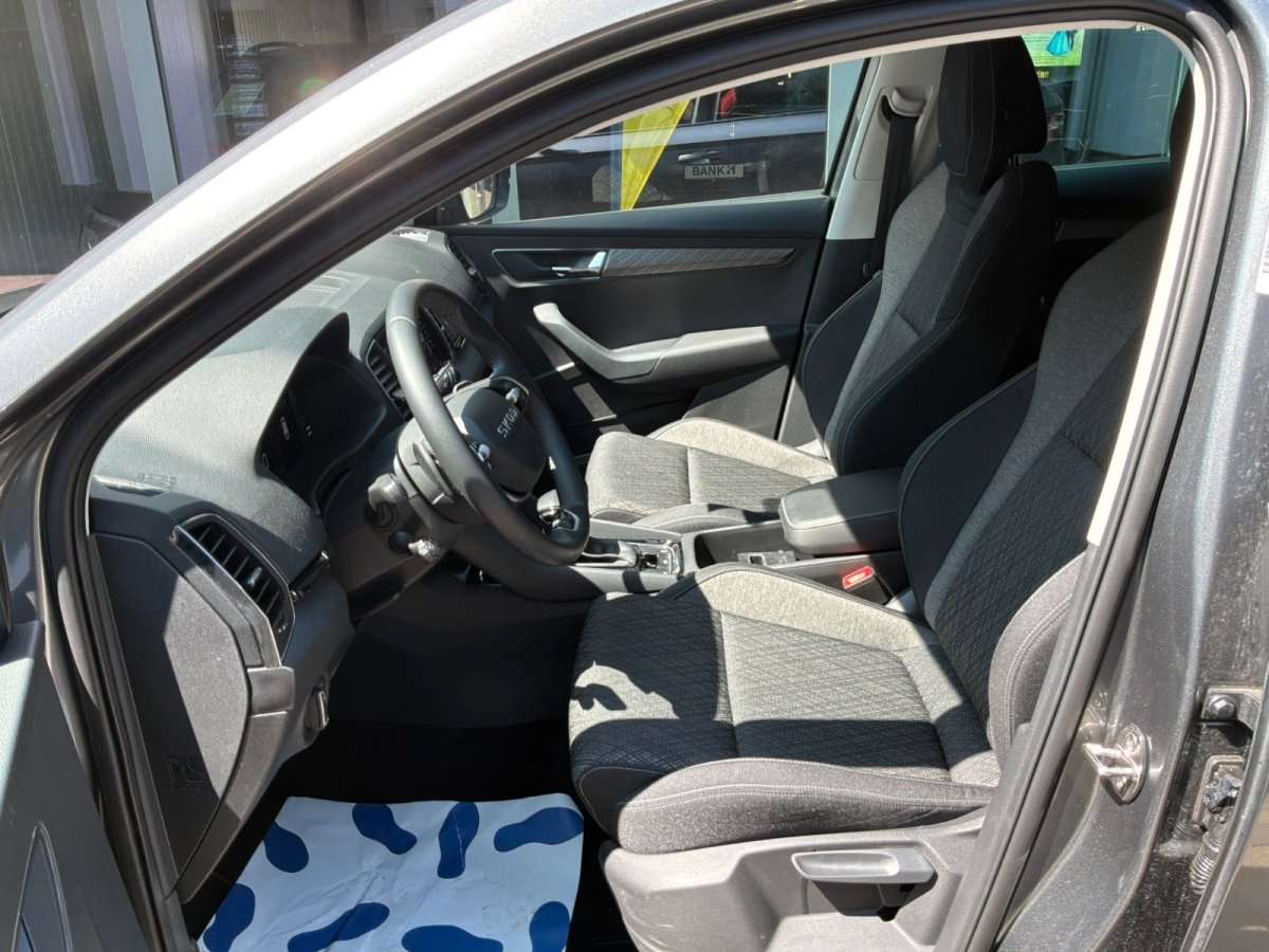 Fahrzeugbild eines Skoda Karoq